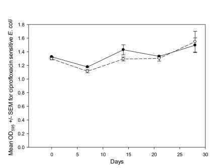 環(huán)丙沙星殘留虛驚一場？微生物生長曲線繪制出堆肥安全圖譜