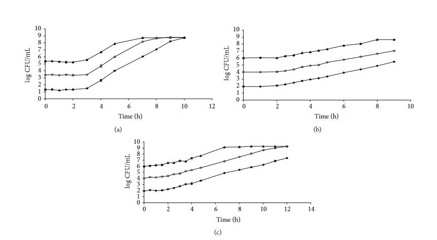 不同數(shù)學(xué)模型在預(yù)測細(xì)菌生長曲線中的性能評估?（四）