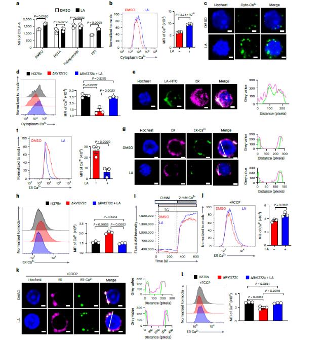 一段長(zhǎng)達(dá)14天的生長(zhǎng)曲線(xiàn)，揭示結(jié)核分枝桿菌免疫逃逸新機(jī)制（二）
