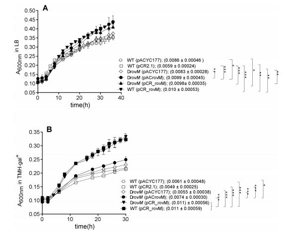 鼠疫耶爾森菌突變體生長曲線、生物膜形成及rovM和rovA轉(zhuǎn)錄的測定（三）