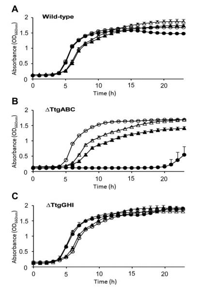 生長曲線分析儀監(jiān)測下吲哚對惡臭假單胞菌 ΔttgABC 突變體抗生素耐受的影響（三）
