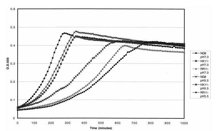 HK/RR11雙組分系統(tǒng)調(diào)控變形鏈球菌生物膜形成與酸耐受性的機(jī)制研究（一）
