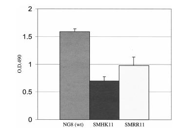 HK/RR11雙組分系統(tǒng)調(diào)控變形鏈球菌生物膜形成與酸耐受性的機(jī)制研究（二）