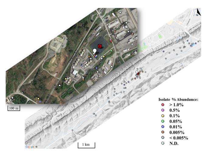 橡樹嶺保護(hù)區(qū)耐多金屬硝酸鹽還原微生物的分離與表征（五）