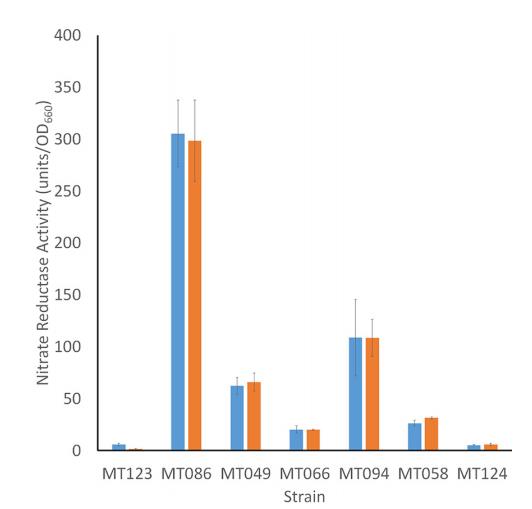 橡樹嶺保護(hù)區(qū)耐多金屬硝酸鹽還原微生物的分離與表征（四）