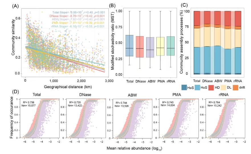 大尺度環(huán)境樣本土壤活體微生物研究方法評估與驗證（五）