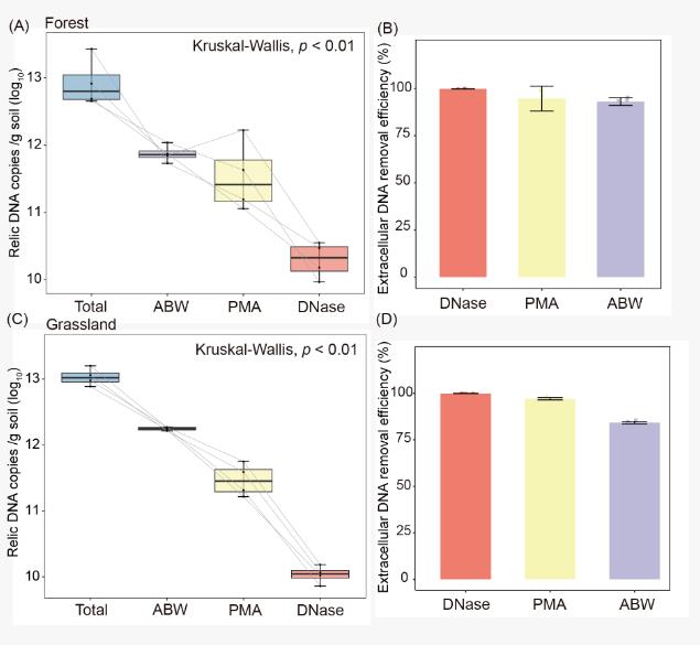 大尺度環(huán)境樣本土壤活體微生物研究方法評估與驗證（四）