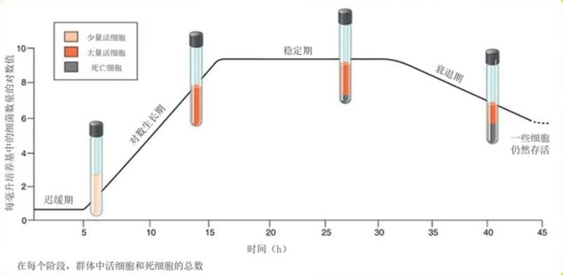 ?細(xì)菌如何通過