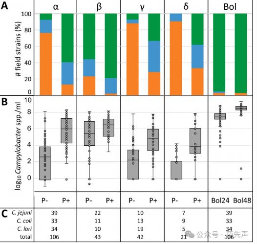 耐熱彎曲桿菌富集培養(yǎng)基選擇指南：基于FBP效應(yīng)的定量比較研究